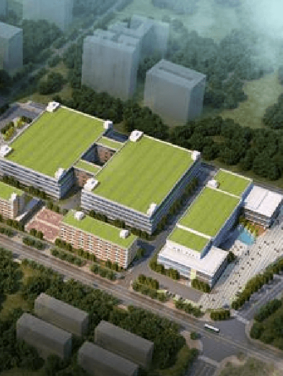 敏华案例背景图